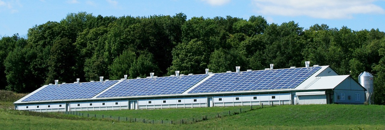Solar Maintenance